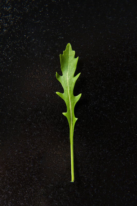 黑色盘子上的芝麻菜，极简主义，概念。深色背景，俯视图