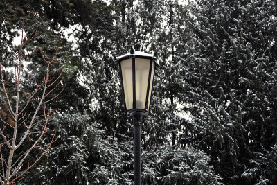白雪皑皑的路灯。维也纳下大雪