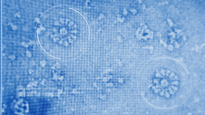 计算机屏幕上的冠状病毒模型。未来的实验室研究