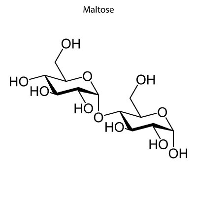 化学分子的骨架式。