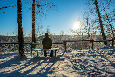 太阳在大雪覆盖的森林中升起