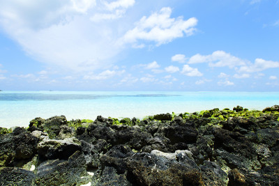海