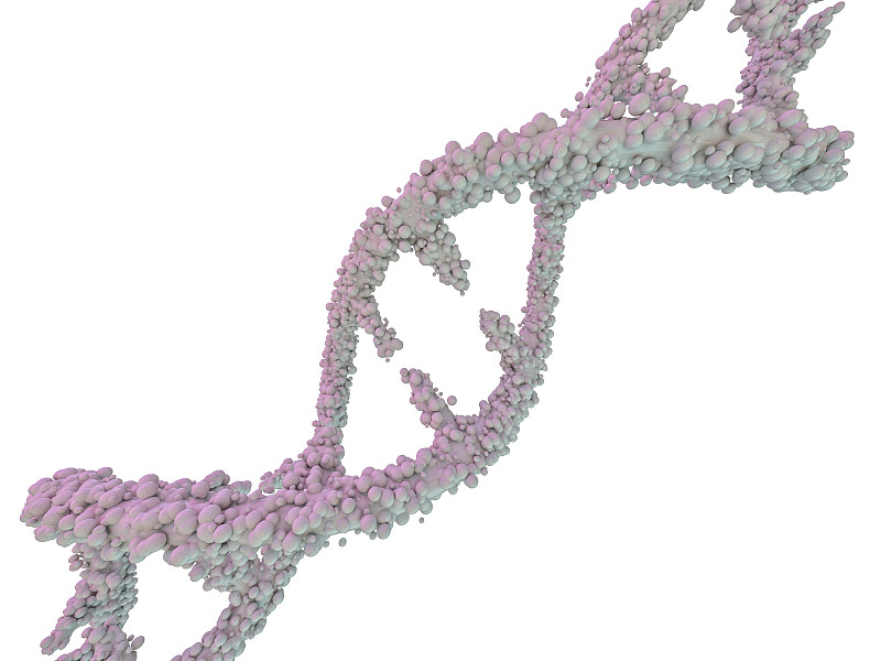 DNA分子位于白色背景的前面。抽象拼贴画。3 d