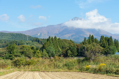 秋叶，日本福岛