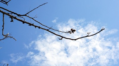 蓝天和白云