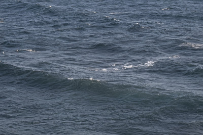 海