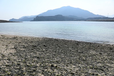 富查伊拉爱尔兰