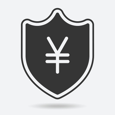 盾牌图标中的货币