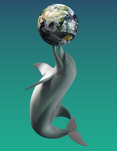 海豚和地球玩耍