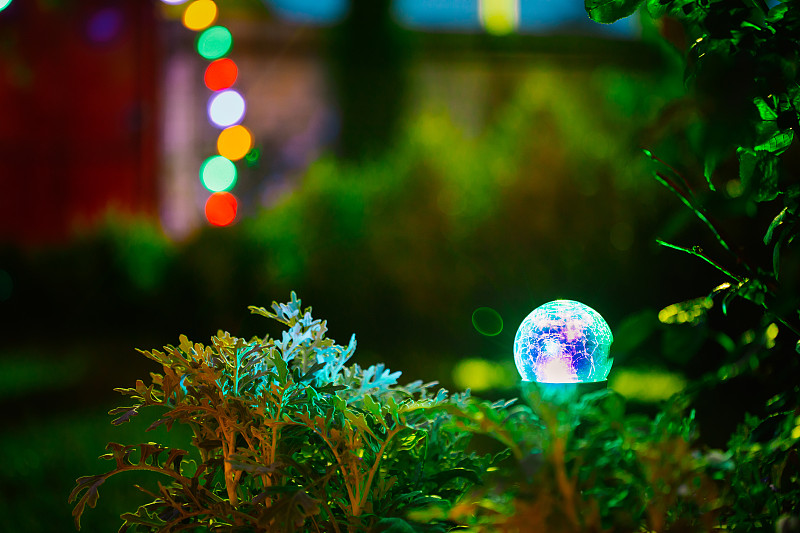 庭院彩灯照明花坛夜景。美丽的小花园与蓝色和绿色的光，灯在花坛。园林设计