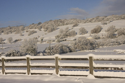 冬季雪景卡迪夫，南威尔士，英国