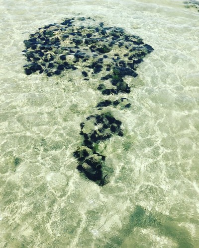 退潮时