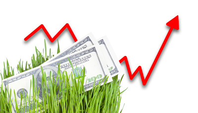 在草地上种植金钱