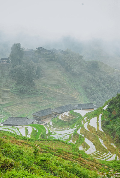 龙脊梯田风光