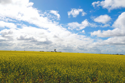 Nhill,维多利亚,澳大利亚