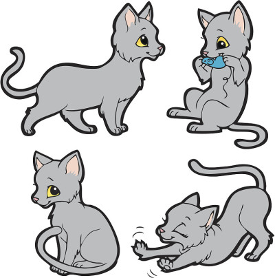 可爱的灰色的猫