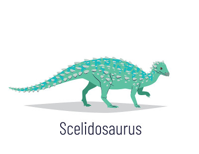 Scelidosaurus。鸟臀目恐龙。彩色矢量插图的史前生物石龙在手绘制的扁平风格孤立在白色的背景