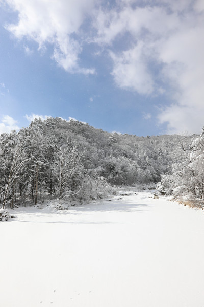 美丽的冬季高山白雪覆盖的景观。壮丽而静谧的晴天。(韩国江原道御田山国家公园)