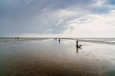 瓦登海退潮时的海滩，风平浪静