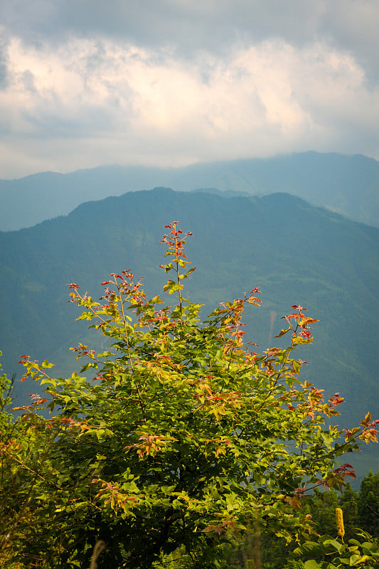 景观层山在雾霾