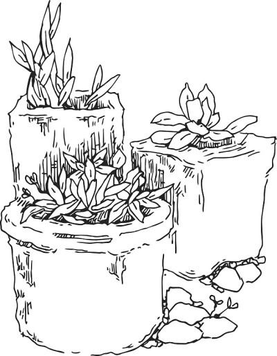 花园元素草图