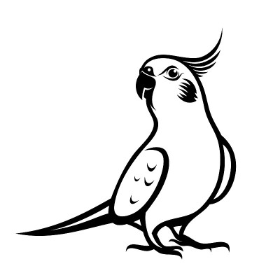 鹦鹉-孤立的载体插图