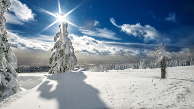 冬天滑雪场的树上覆盖着皑皑白雪，捷克共和国山上的蓝天，černá hora