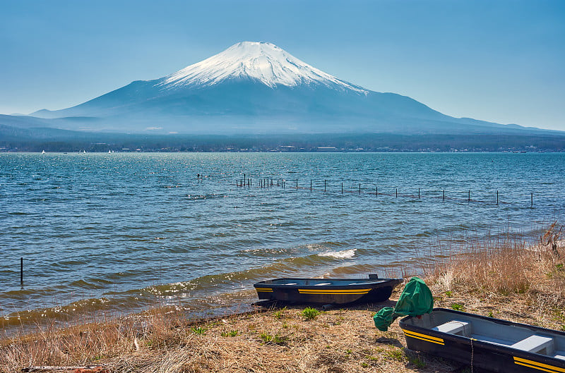 背景中湖和富士山的标志性景观，日本