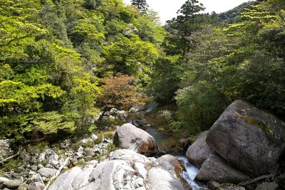 日本鹿儿岛白谷文须共沟