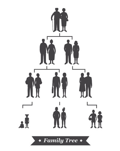 族谱上有四代人的化身