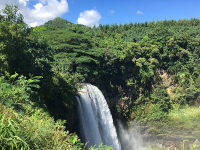 夏威夷考艾岛的怀卢阿瀑布。