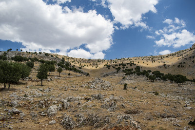 卡塔(Kahta)，土耳其:通往内姆鲁特山(Nemrut Dagi)顶峰的道路。公元前62年，安条奥
