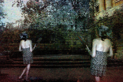 女巫的小夜曲