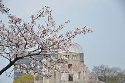 樱花和原子弹圆顶，日本广岛