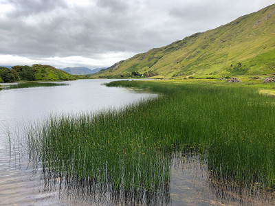 Kylemore修道院附近的风景