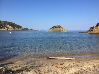 岛港横