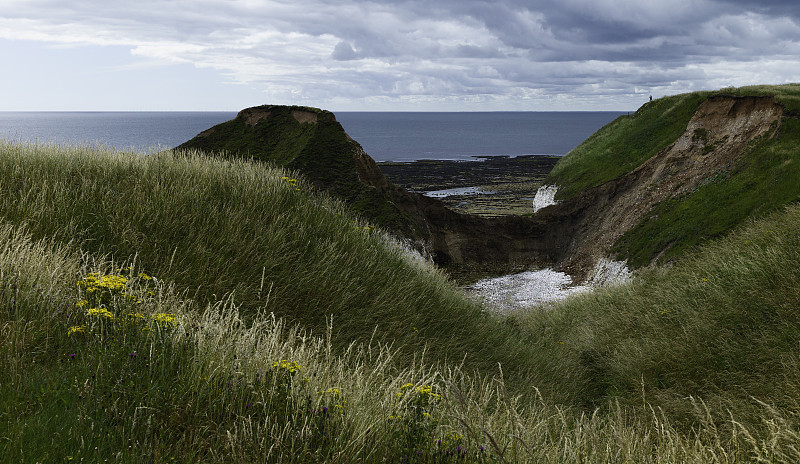 景观与草的边缘，悬崖，和大海的观点。Flamborough,英国。