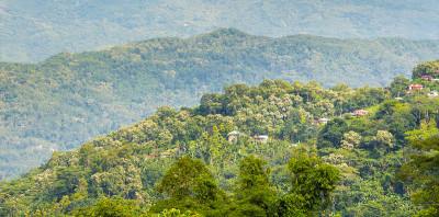 观青山和山村