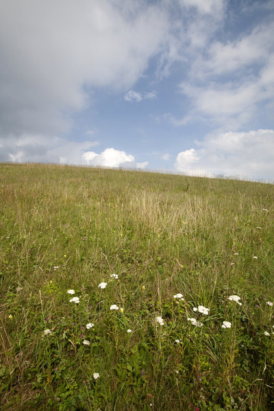 Max Patch, Appalachian Trail, Pisgah NF, NC