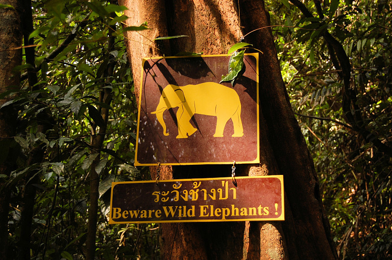 泰国Khao Sok，野生大象警告标志