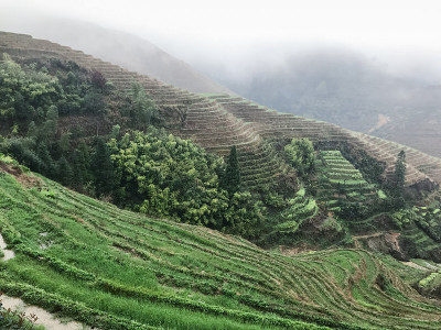 雨中近观梯田