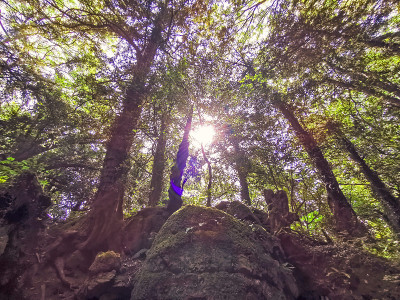 神奇的Puzzlewood