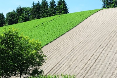 日本北海道的风景