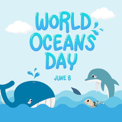 whale , dolphin , shark and turtle in the ocean wi