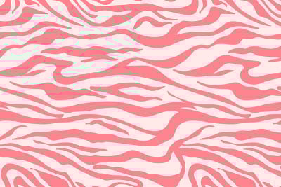 斑马图案插图。简单的抽象背景