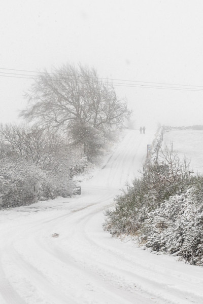 雪覆盖了道路