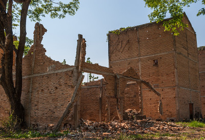 在乡村草地上的废弃建筑，有一棵大树
