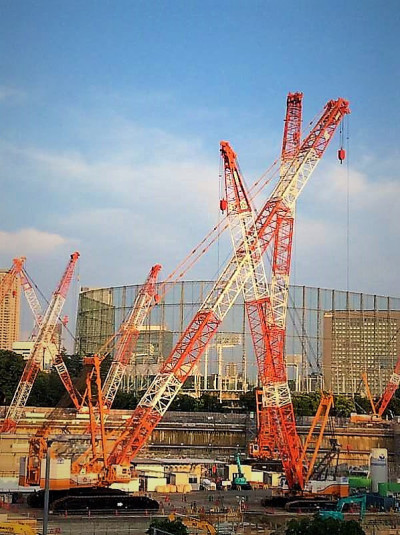 日本东京的鹤