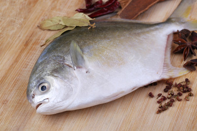Fresh pompano on the white background.