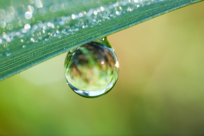 滴水